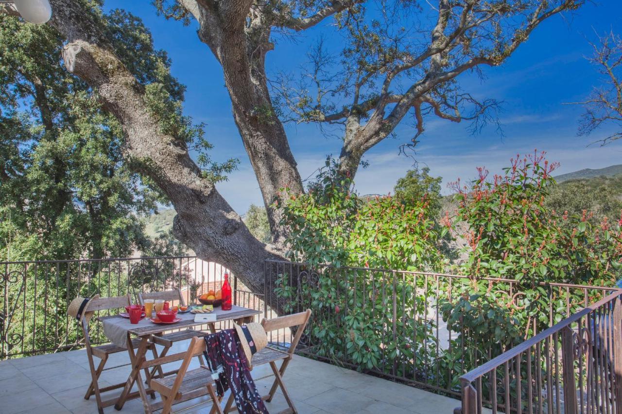 Appartamento Domaine Ghjulia - Casa Nebbiu Patrimonio Esterno foto