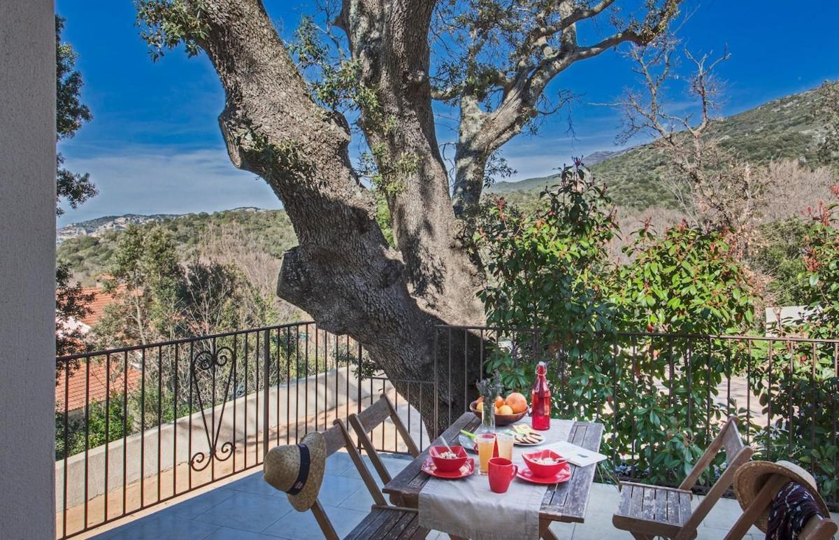 Appartamento Domaine Ghjulia - Casa Nebbiu Patrimonio Esterno foto